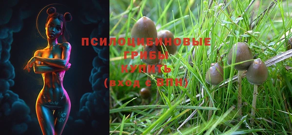 индика Армянск
