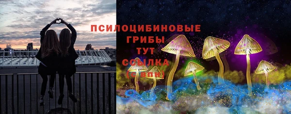 a pvp Арсеньев