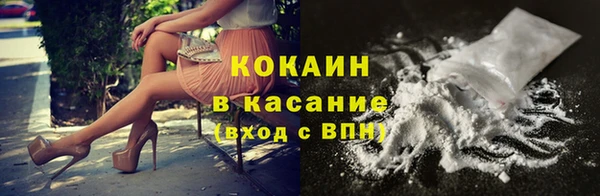 индика Армянск