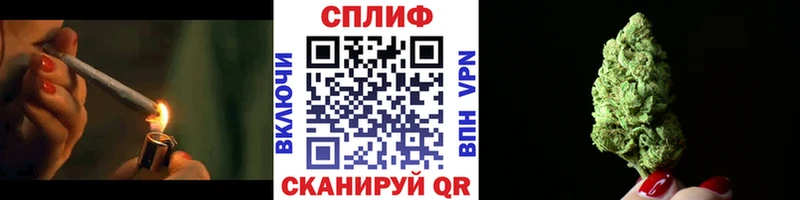 Бошки марихуана планчик  Муравленко 